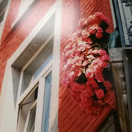 Appartement Portanova 21