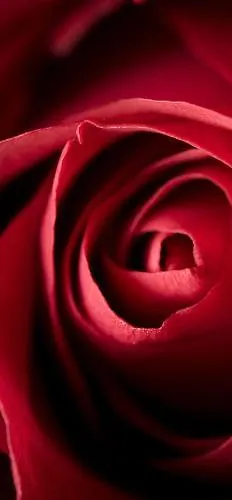 Apartment Portanova 21 Huy